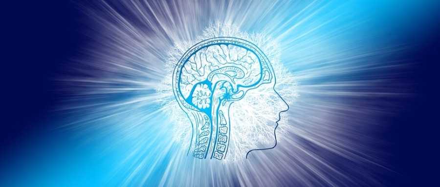 优米娱乐有限公司官网首页下载 肌肉力量和身体机能的增强