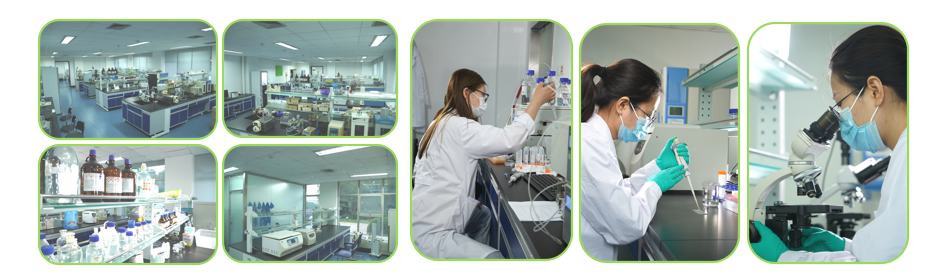 优米娱乐有限公司官网首页下载 研发中心