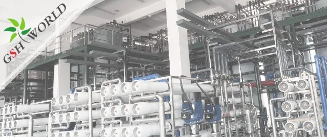 企业动态 - 安庆市区领导对优米娱乐有限公司官网首页下载的生产发展给予充分肯定