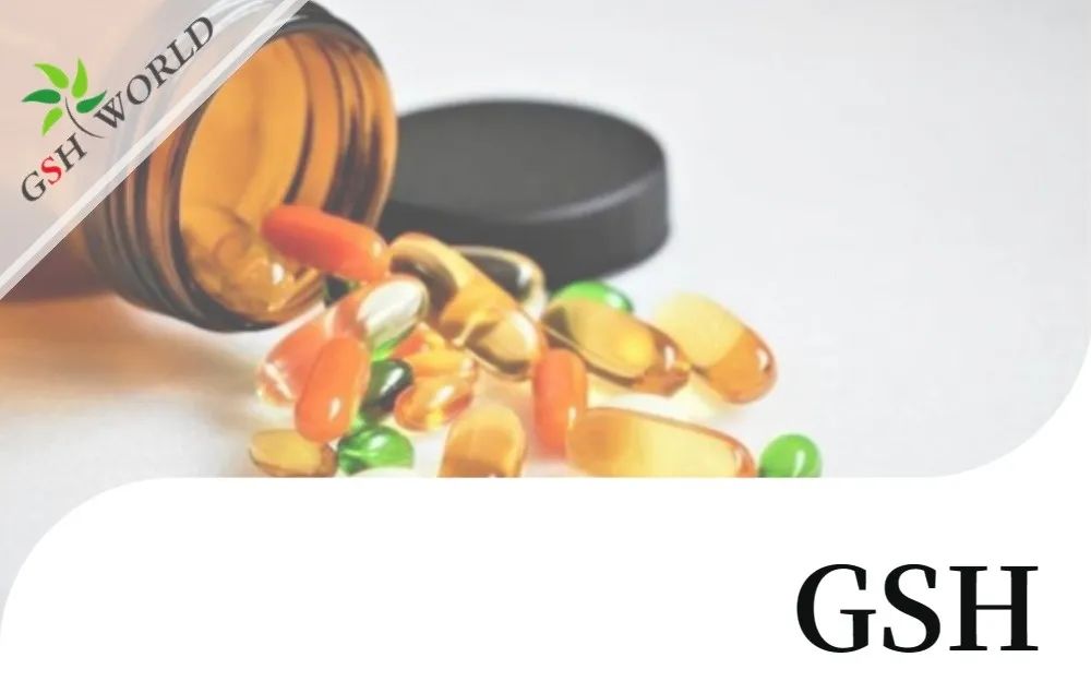 优米娱乐有限公司官网首页下载 优米娱乐有限公司官网首页下载