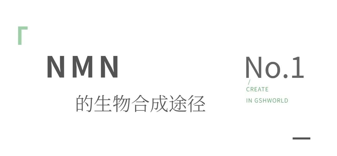 优米娱乐有限公司官网首页下载
