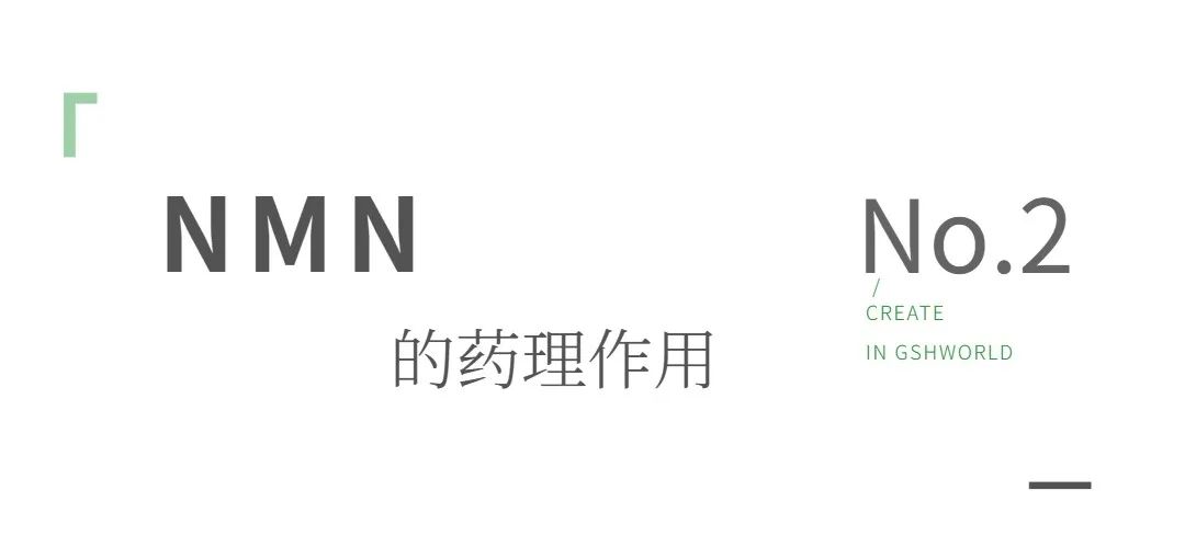 优米娱乐有限公司官网首页下载