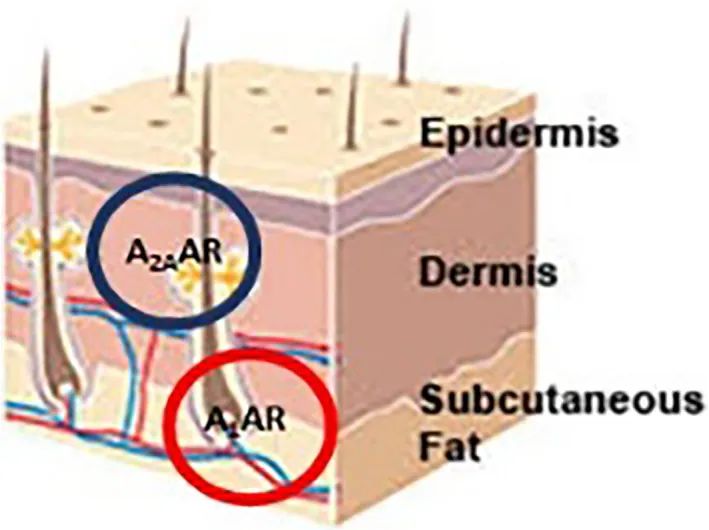 优米娱乐有限公司官网首页下载