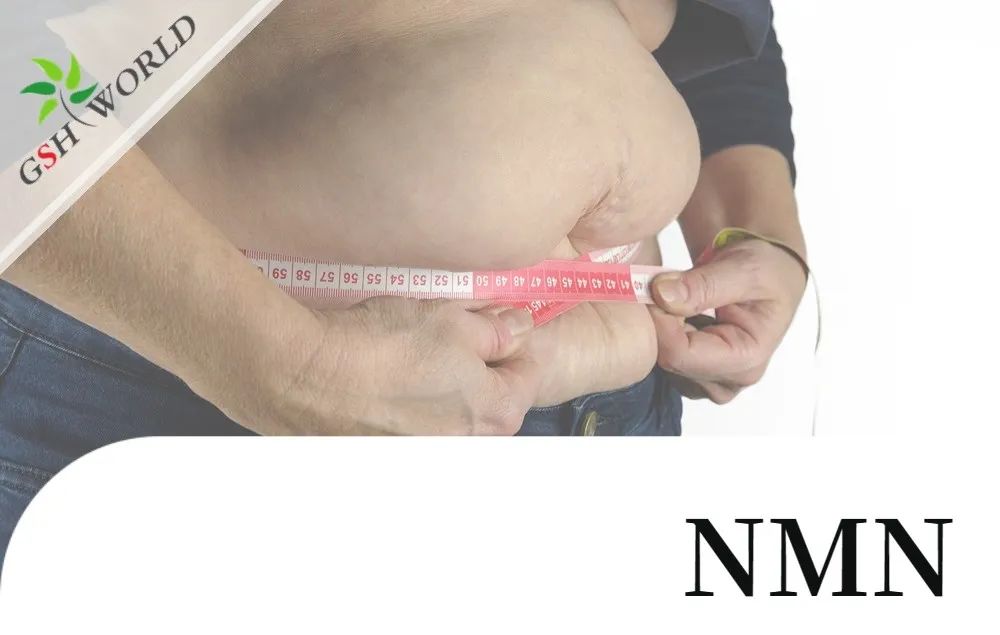 优米娱乐有限公司官网首页下载 优米娱乐有限公司官网首页下载