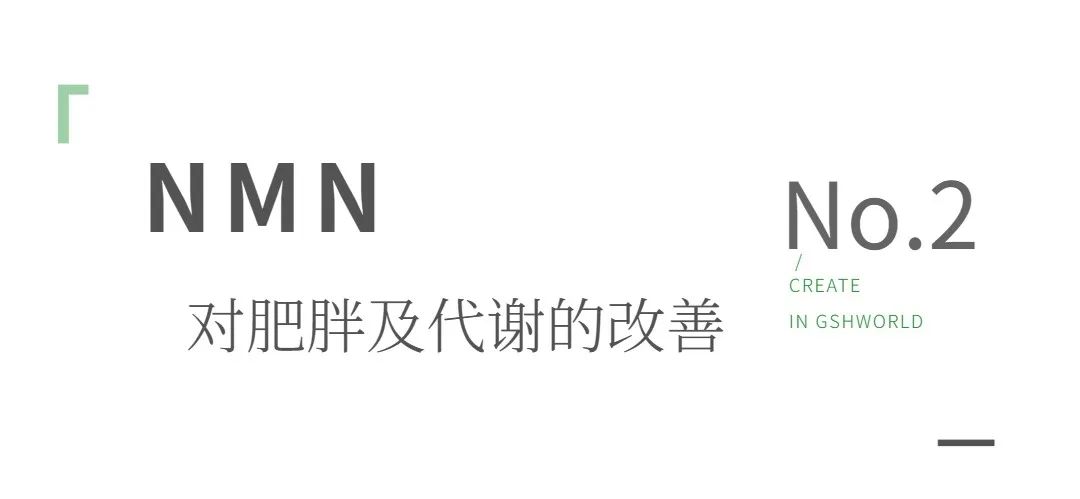优米娱乐有限公司官网首页下载 优米娱乐有限公司官网首页下载