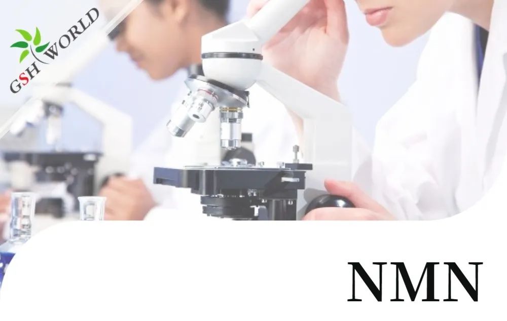 优米娱乐有限公司官网首页下载 优米娱乐有限公司官网首页下载