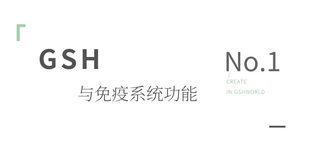 优米娱乐有限公司官网首页下载
