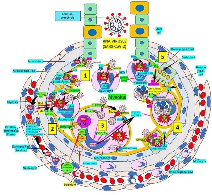 优米娱乐有限公司官网首页下载