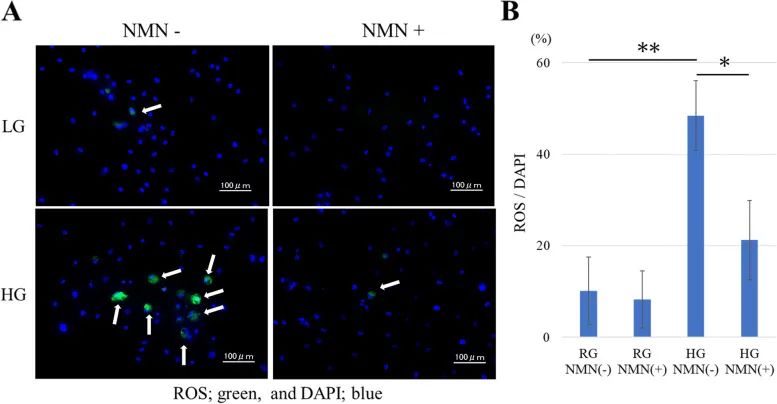 优米娱乐有限公司官网首页下载 优米娱乐有限公司官网首页下载