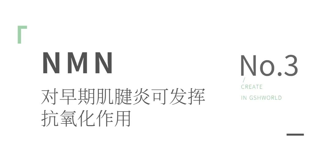 优米娱乐有限公司官网首页下载 优米娱乐有限公司官网首页下载
