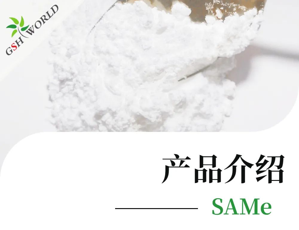 优米娱乐有限公司官网首页下载