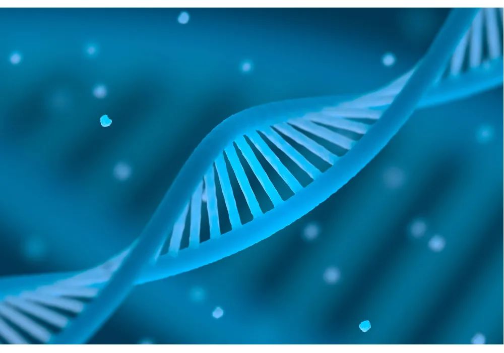 优米娱乐有限公司官网首页下载