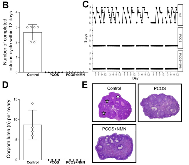 优米娱乐有限公司官网首页下载 优米娱乐有限公司官网首页下载
