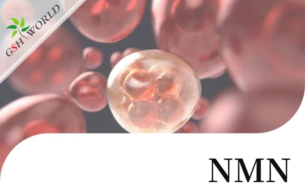 优米娱乐有限公司官网首页下载 优米娱乐有限公司官网首页下载