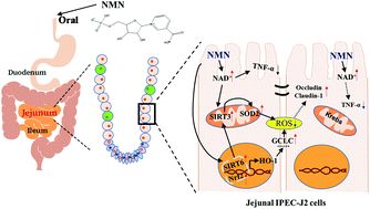 优米娱乐有限公司官网首页下载 优米娱乐有限公司官网首页下载