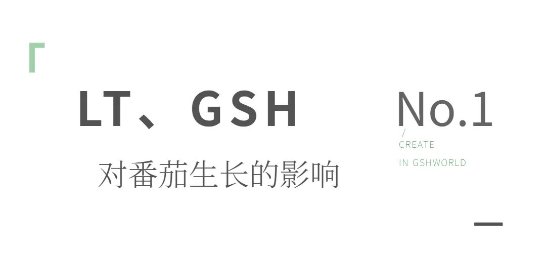 优米娱乐有限公司官网首页下载