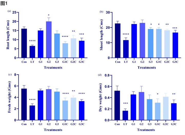 优米娱乐有限公司官网首页下载