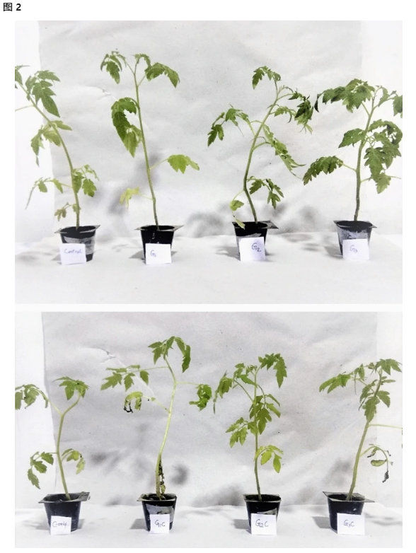 优米娱乐有限公司官网首页下载