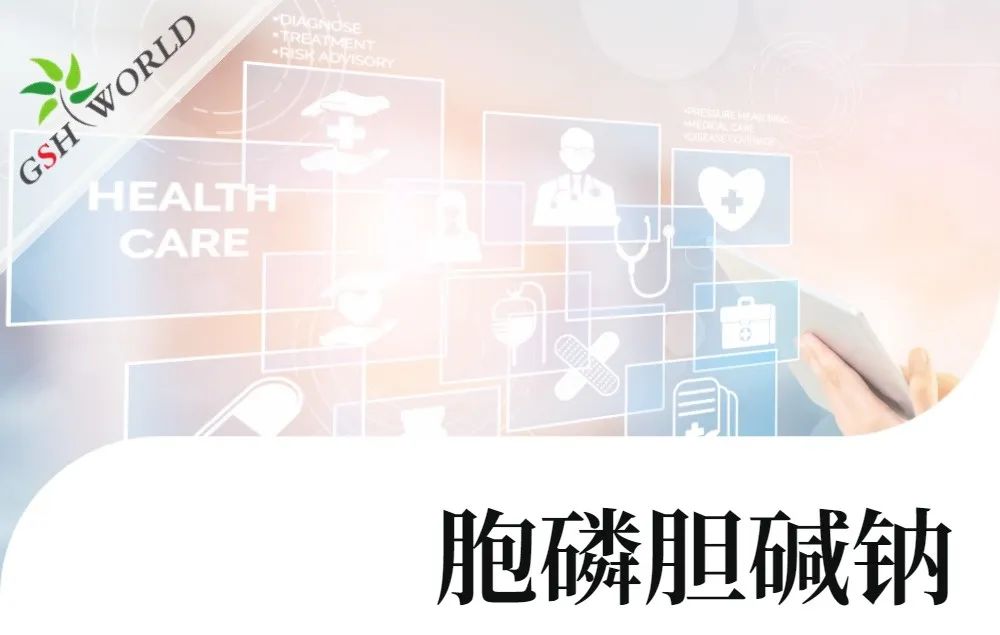 行业关注 - 胞磷胆碱钠对新冠导致相关认知衰退的潜在作用