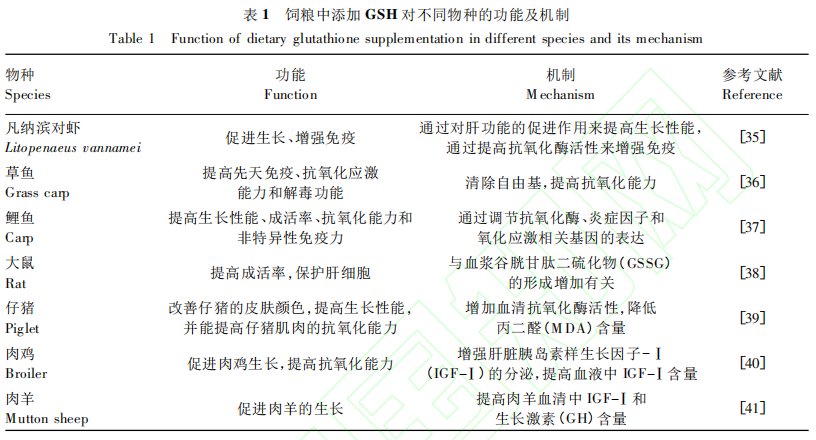 优米娱乐有限公司官网首页下载