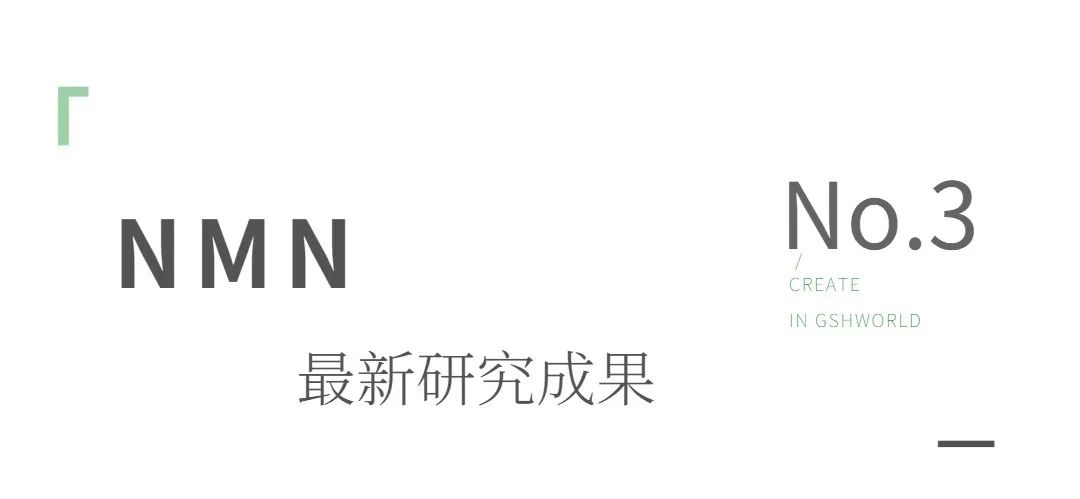 优米娱乐有限公司官网首页下载