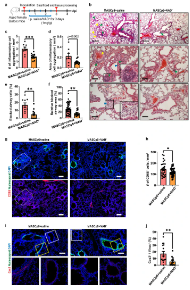 优米娱乐有限公司官网首页下载 优米娱乐有限公司官网首页下载