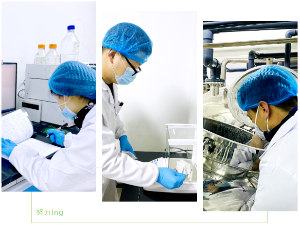 优米娱乐有限公司官网首页下载 优米娱乐有限公司官网首页下载