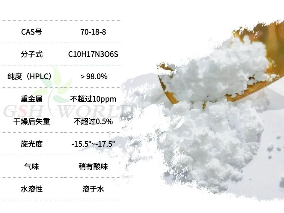优米娱乐有限公司官网首页下载 优米娱乐有限公司官网首页下载