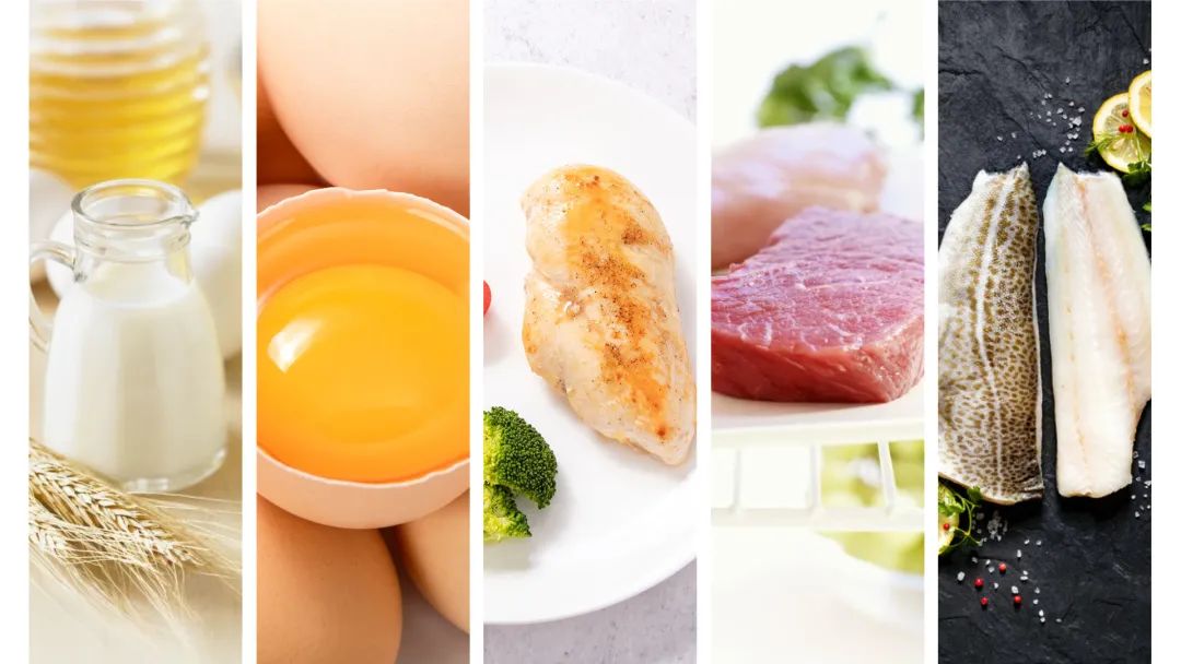 优米娱乐有限公司官网首页下载