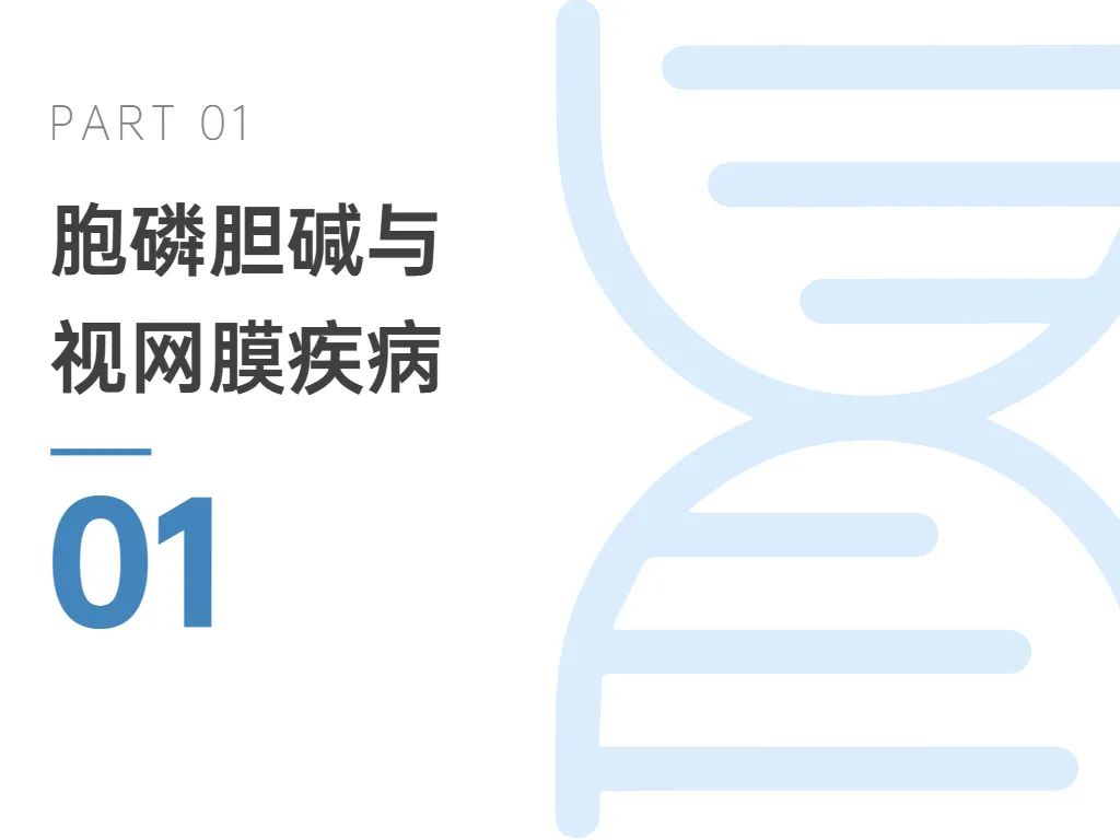 优米娱乐有限公司官网首页下载