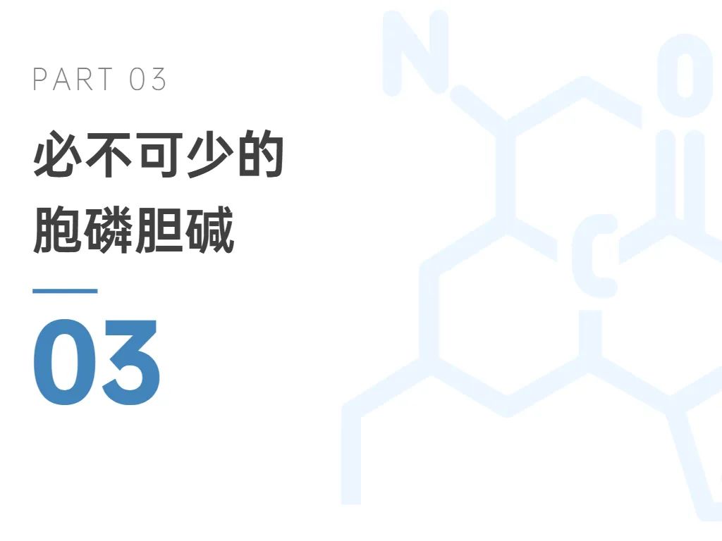 优米娱乐有限公司官网首页下载