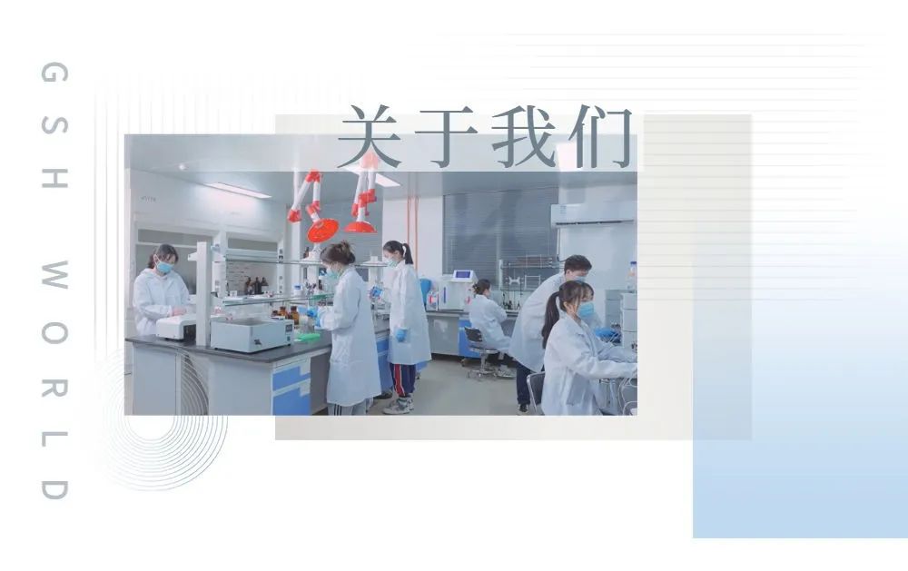 关于我们 关于我们