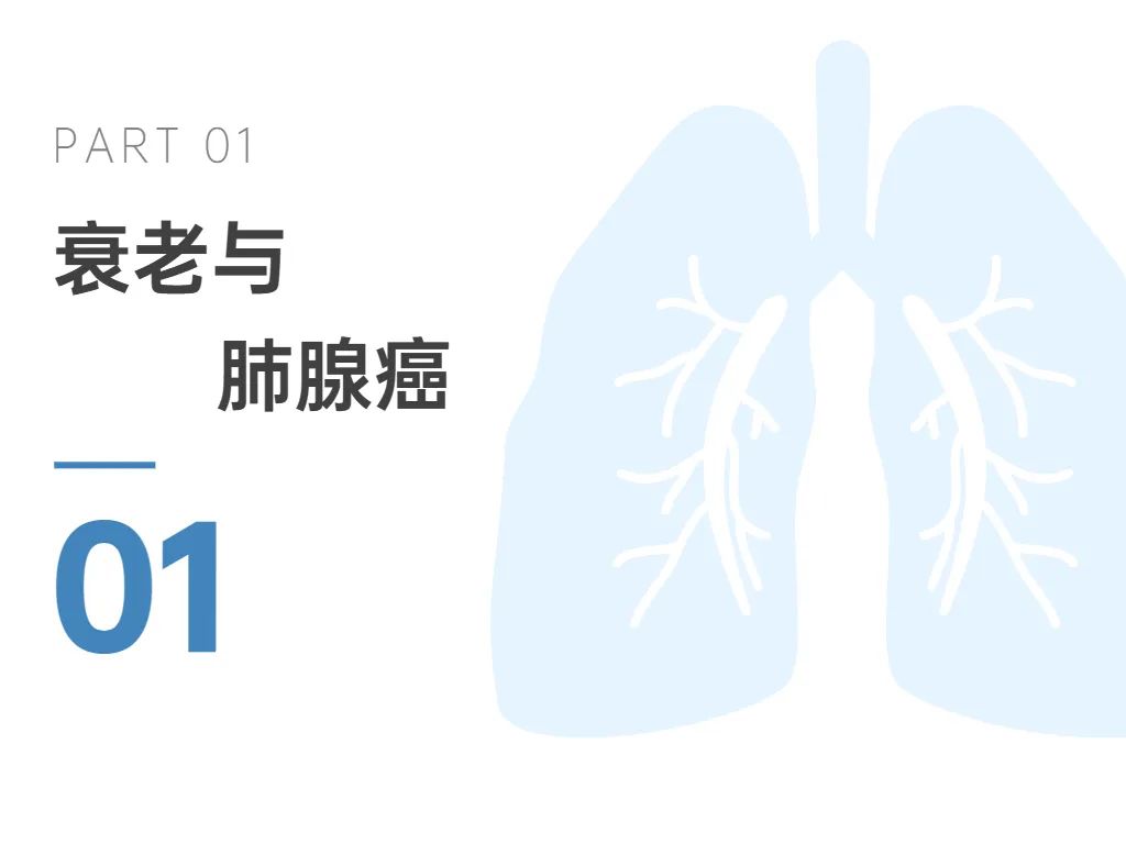 优米娱乐有限公司官网首页下载 优米娱乐有限公司官网首页下载