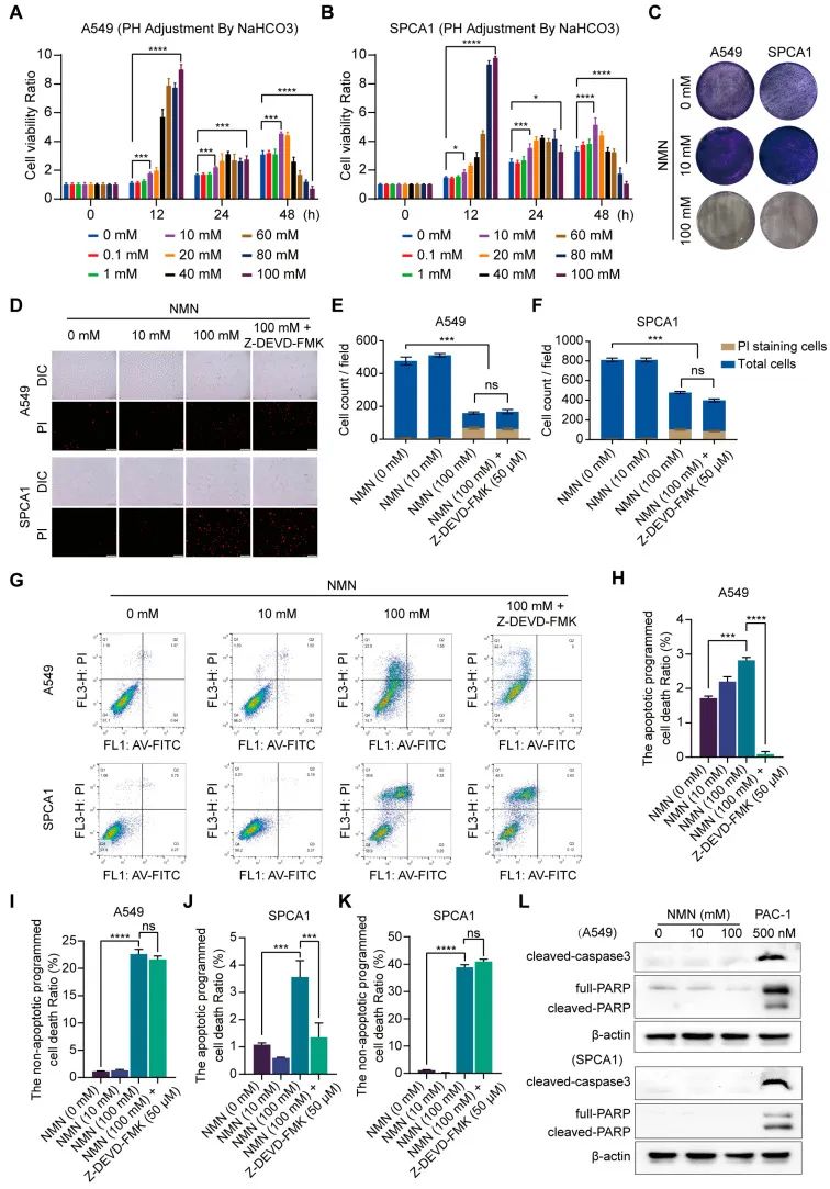 优米娱乐有限公司官网首页下载 优米娱乐有限公司官网首页下载
