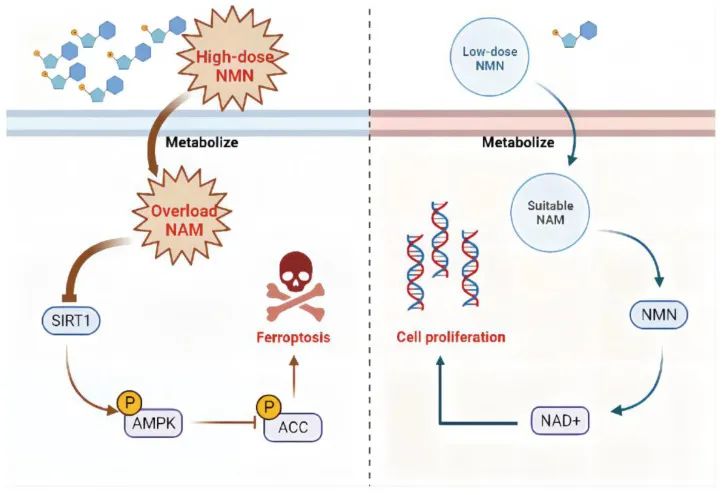 优米娱乐有限公司官网首页下载 优米娱乐有限公司官网首页下载