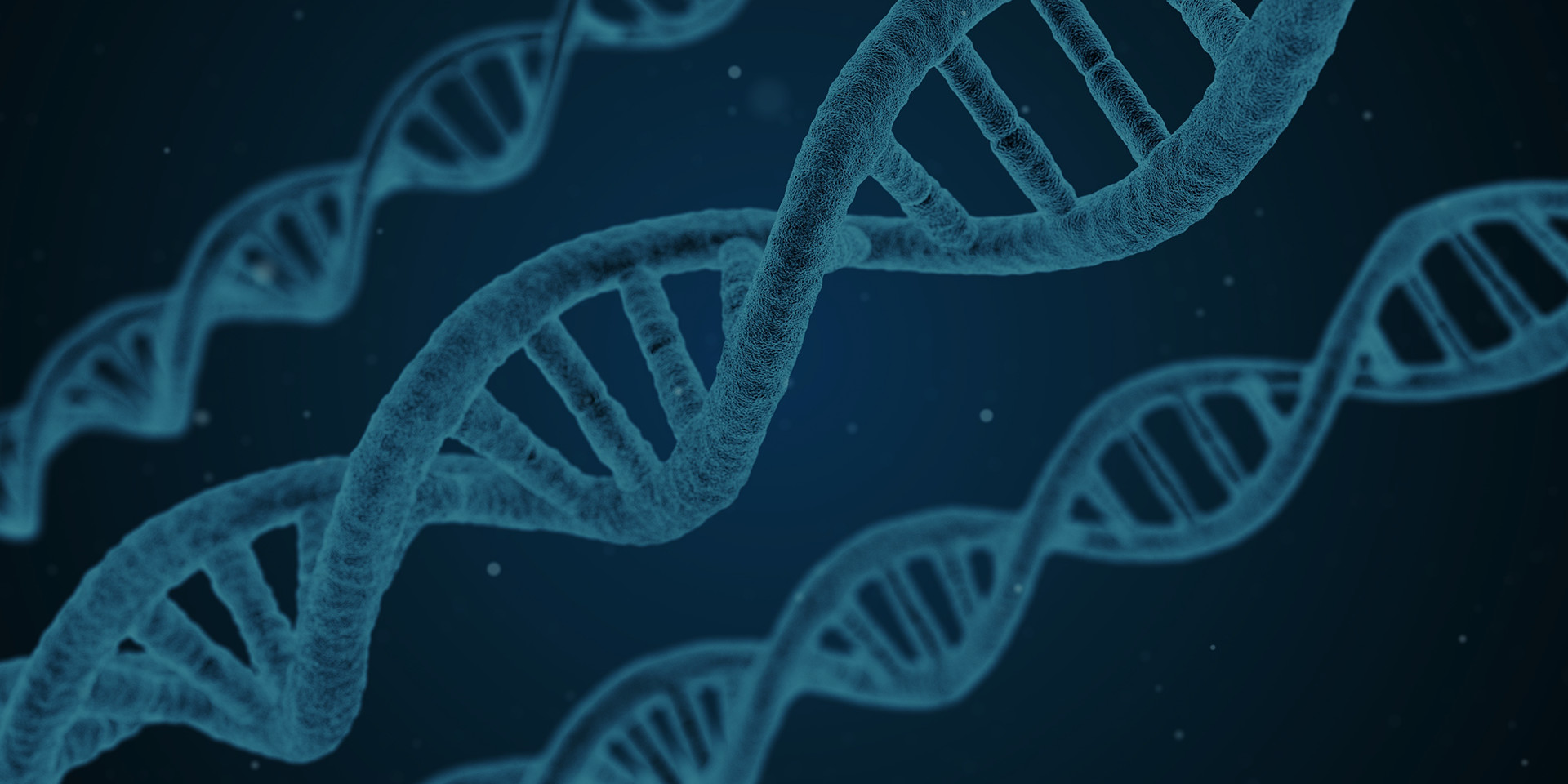 优米网官方下载