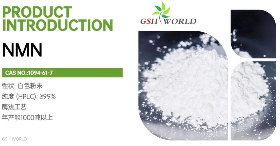 烟酰胺单核苷酸原料：制造商和消费者指南