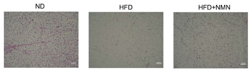 优米娱乐有限公司官网首页下载 优米娱乐有限公司官网首页下载