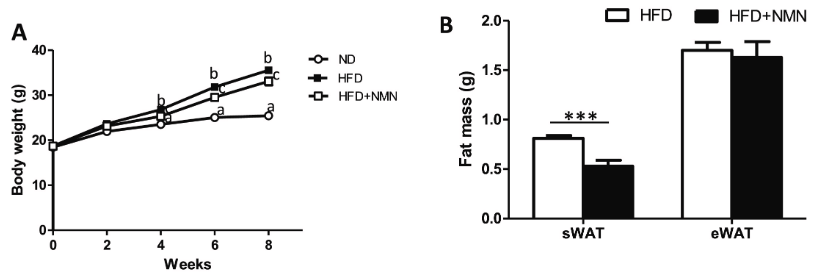 优米娱乐有限公司官网首页下载 优米娱乐有限公司官网首页下载