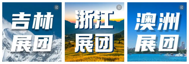 海内外展团集体亮相 海内外展团集体亮相