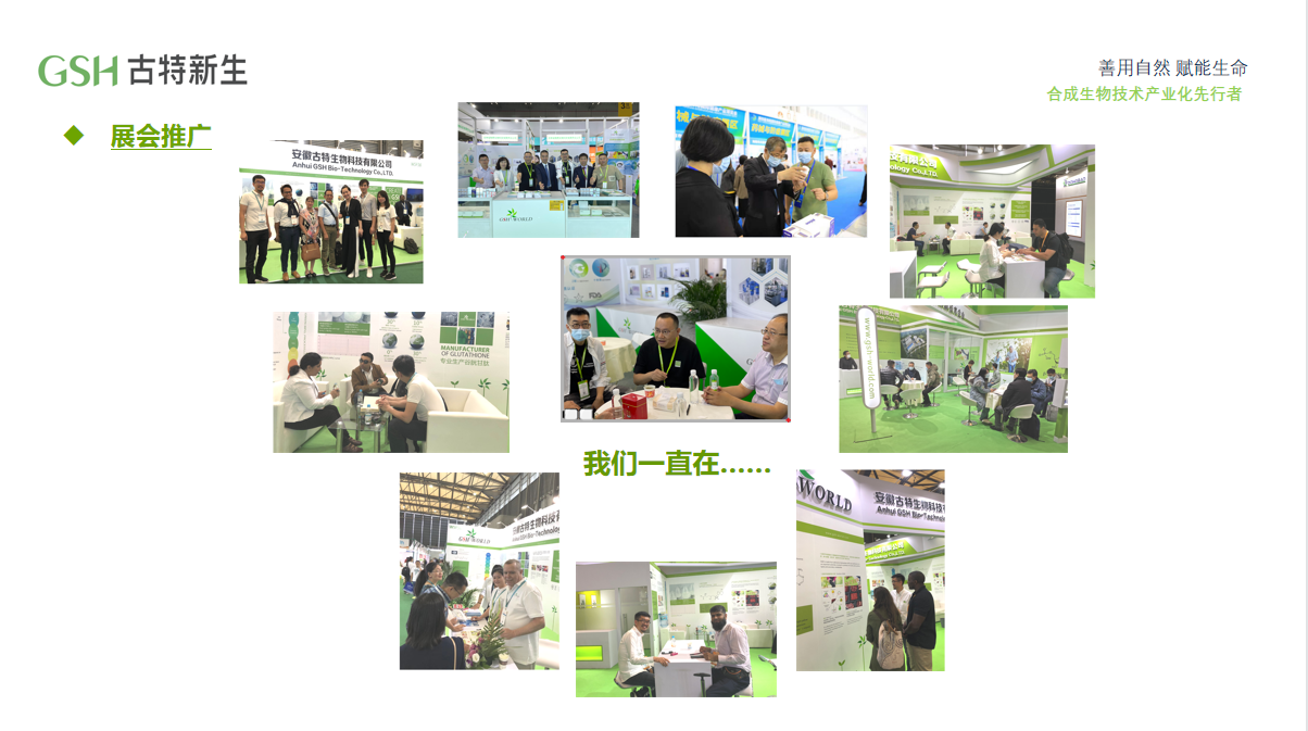 GSH古特新生展会推广