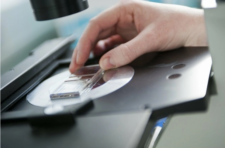 优米娱乐有限公司官网首页下载 图片