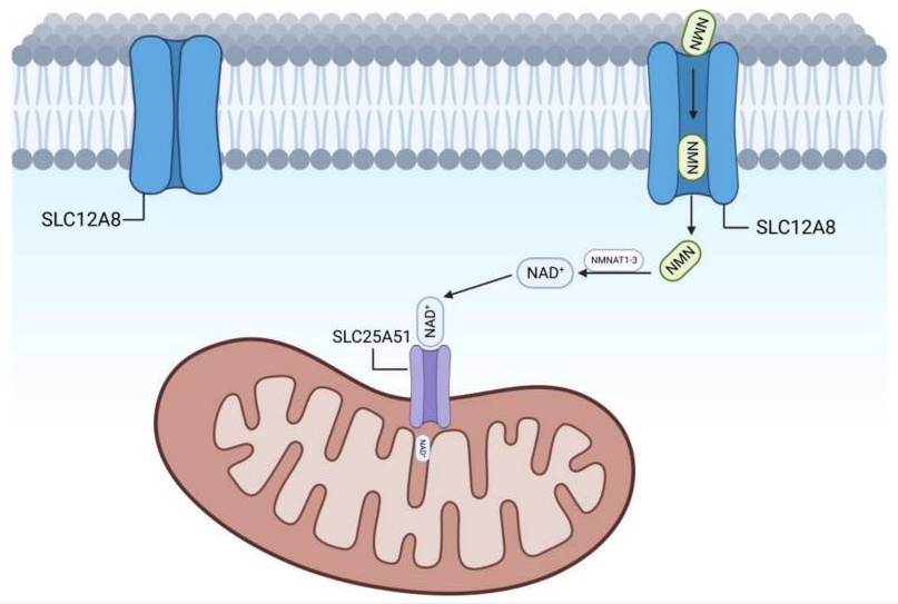 优米娱乐有限公司官网首页下载 图片