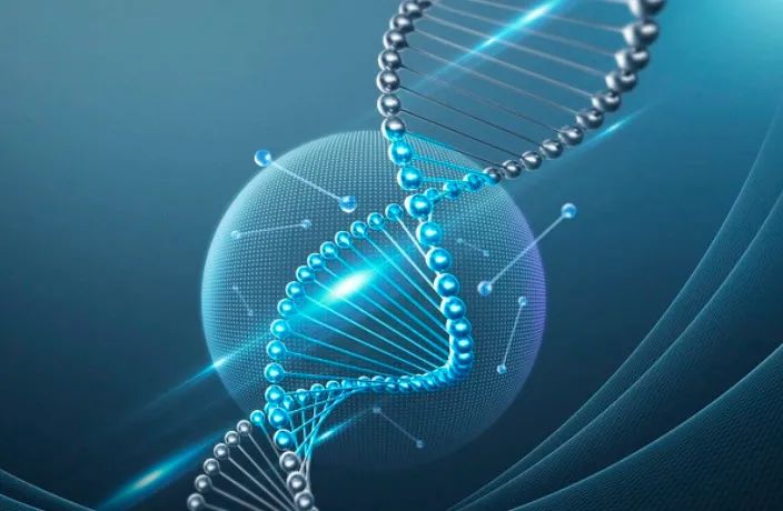 优米娱乐有限公司官网首页下载 图片