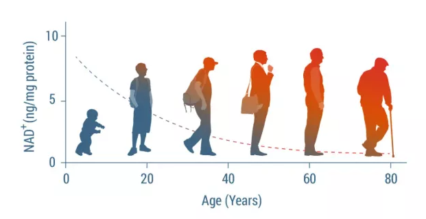 优米娱乐有限公司官网首页下载 图片