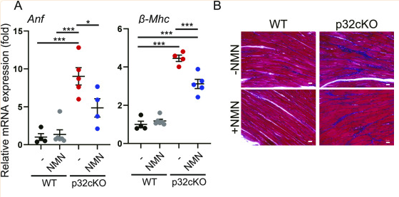 优米娱乐有限公司官网首页下载 优米娱乐有限公司官网首页下载
