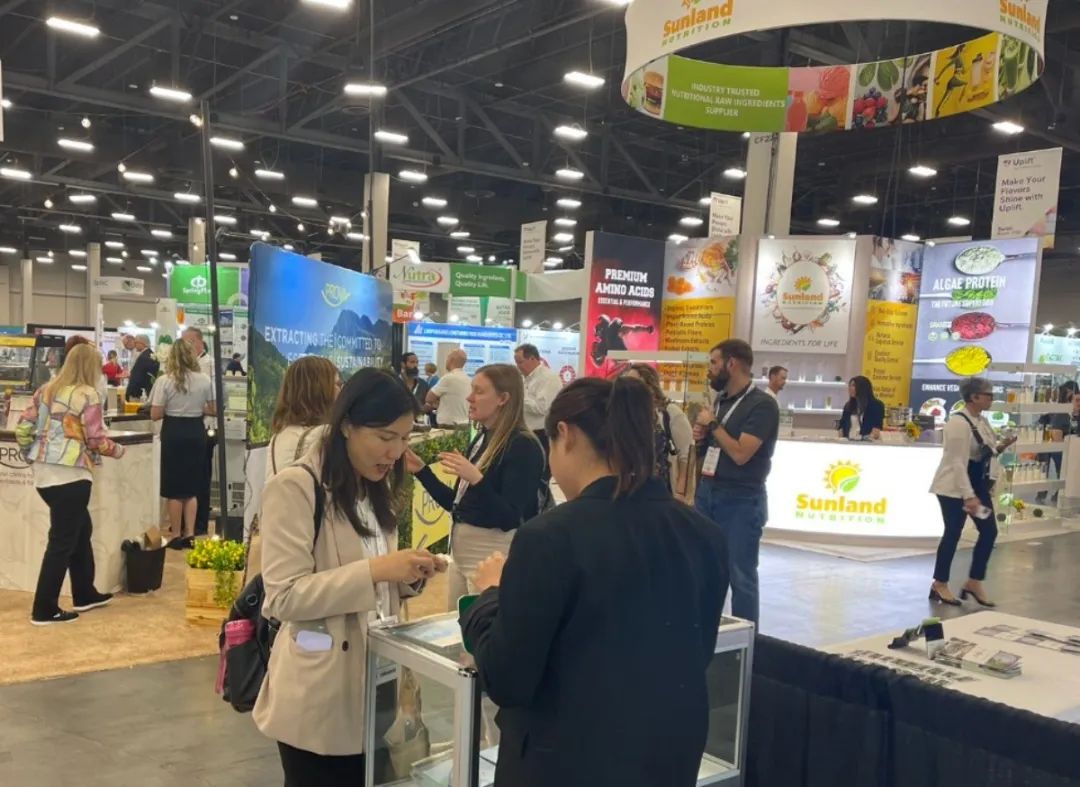 优米娱乐有限公司官网首页下载 图片