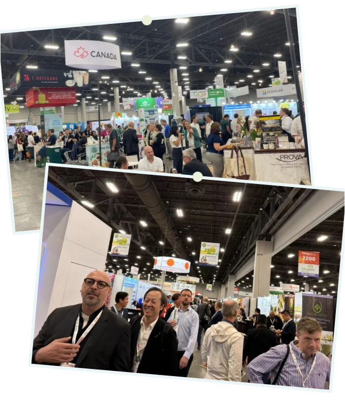 优米娱乐有限公司官网首页下载 优米娱乐有限公司官网首页下载