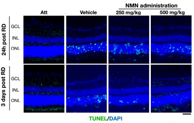 优米娱乐有限公司官网首页下载
