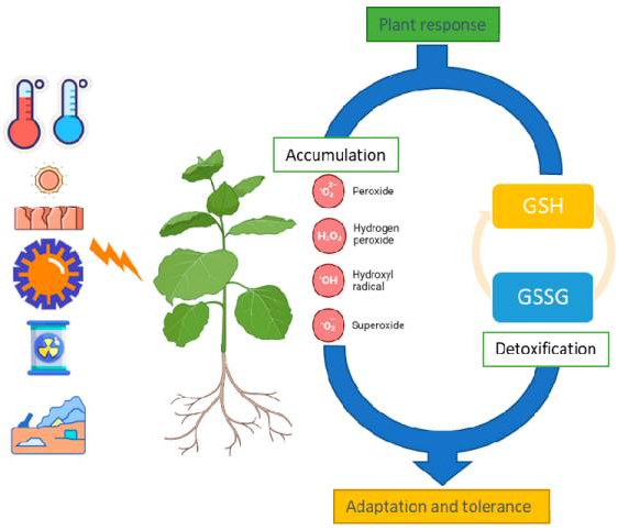 优米娱乐有限公司官网首页下载
